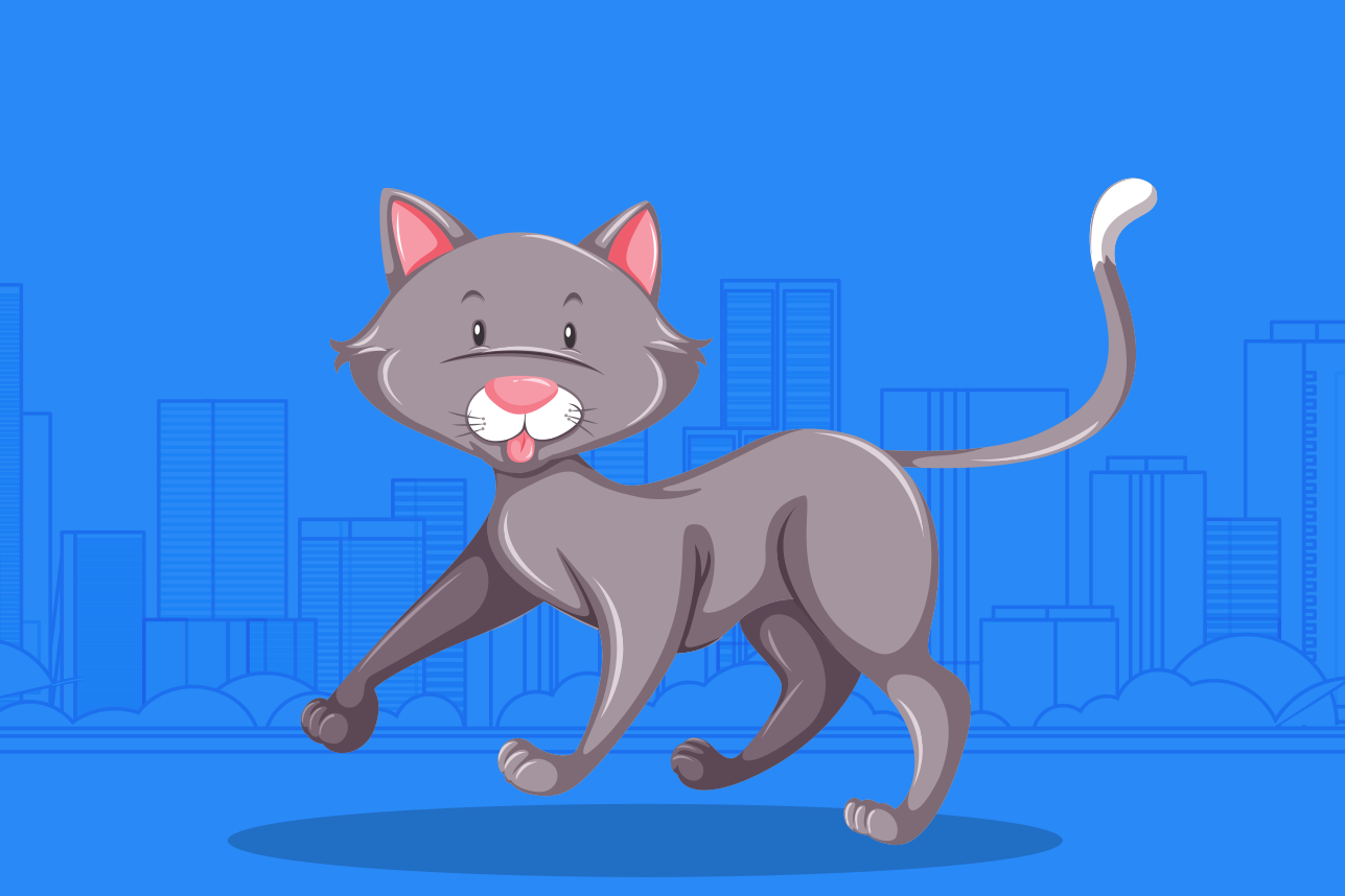 Html5 Banner For Keep.pet